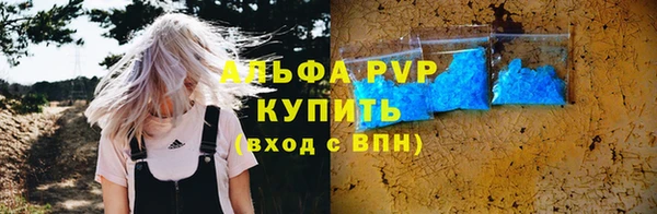 ГАЛЛЮЦИНОГЕННЫЕ ГРИБЫ Белоозёрский