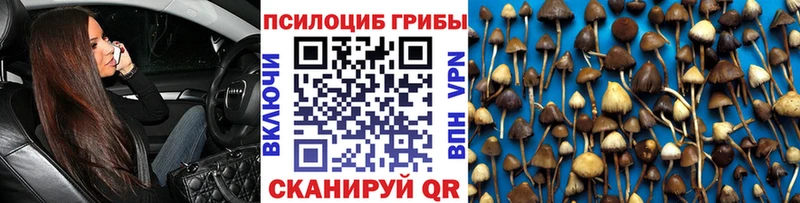 Псилоцибиновые грибы MAGIC MUSHROOMS  цены   Игра 